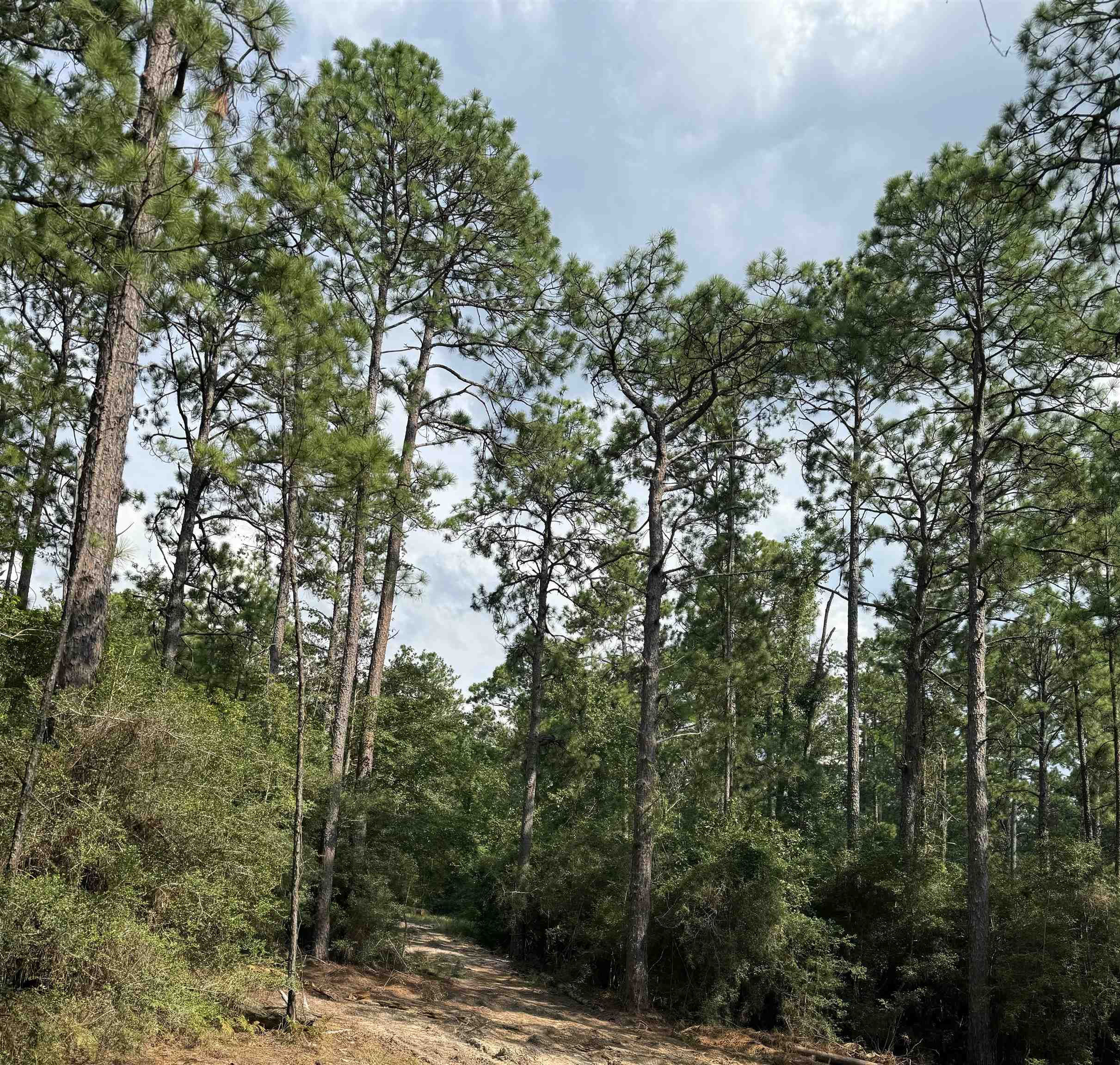 Slide for listing number 4211262