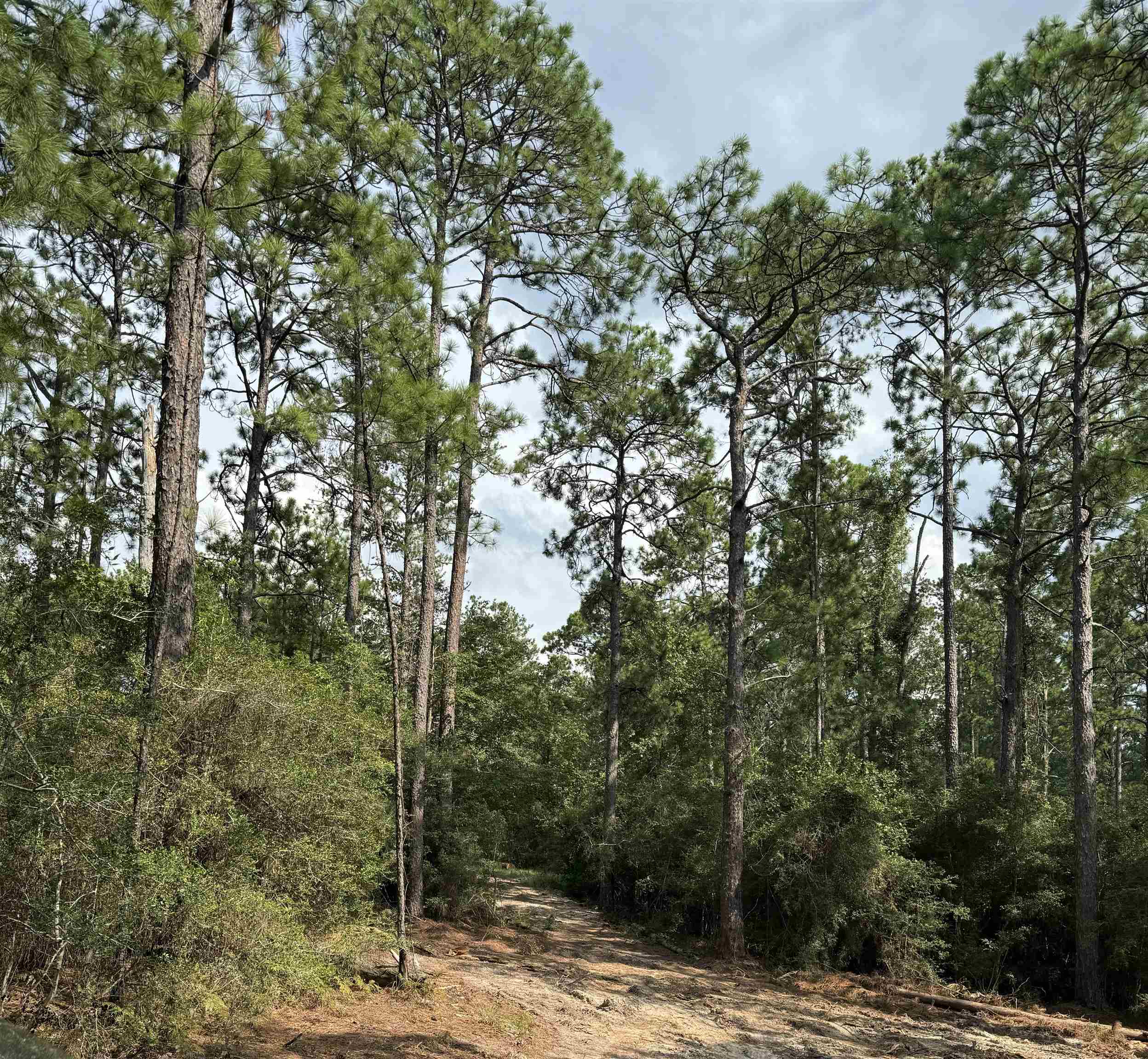 Slide for listing number 4211262