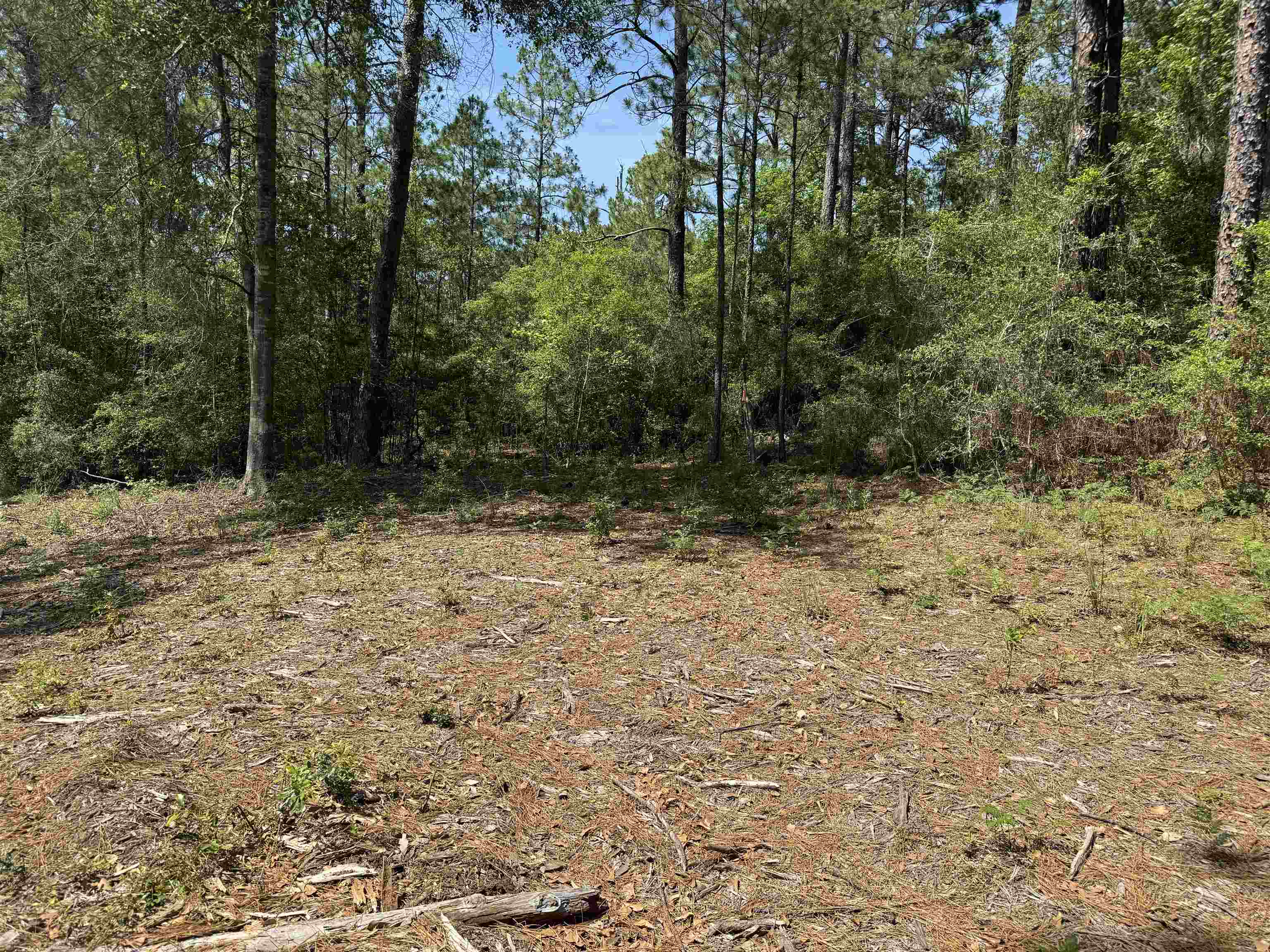 Slide for listing number 4211262