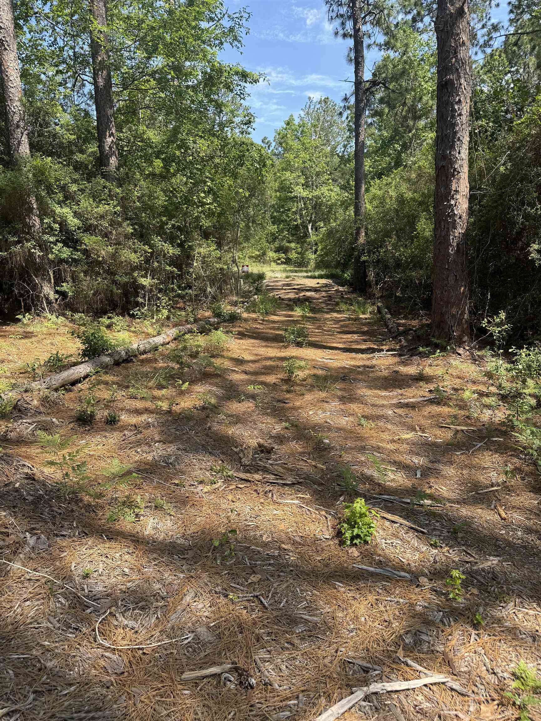 Slide for listing number 4211262