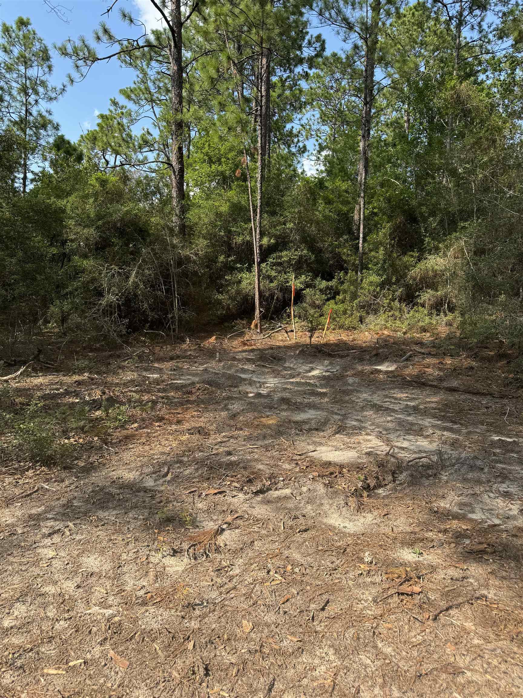 Slide for listing number 4211262