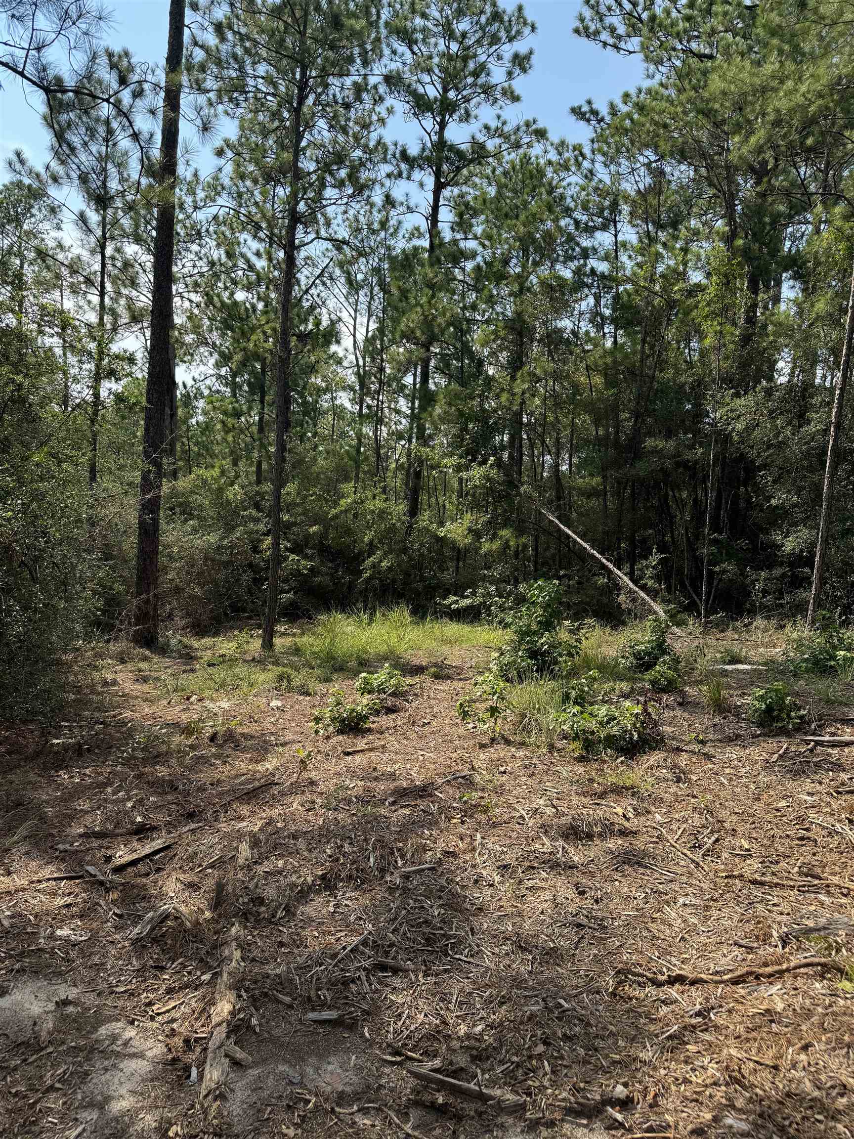 Slide for listing number 4211262