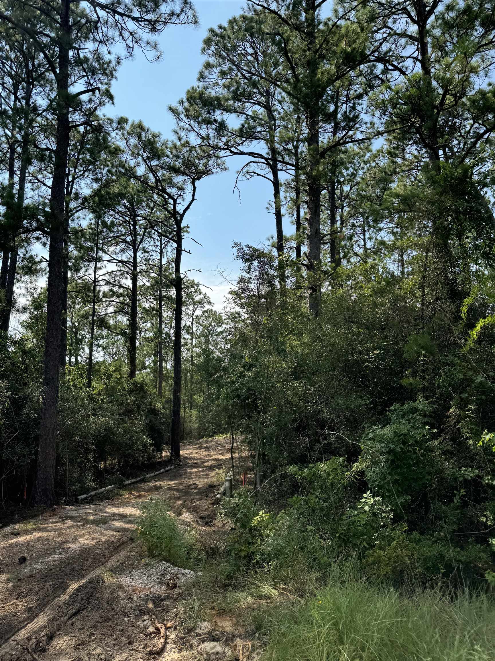 Slide for listing number 4211262