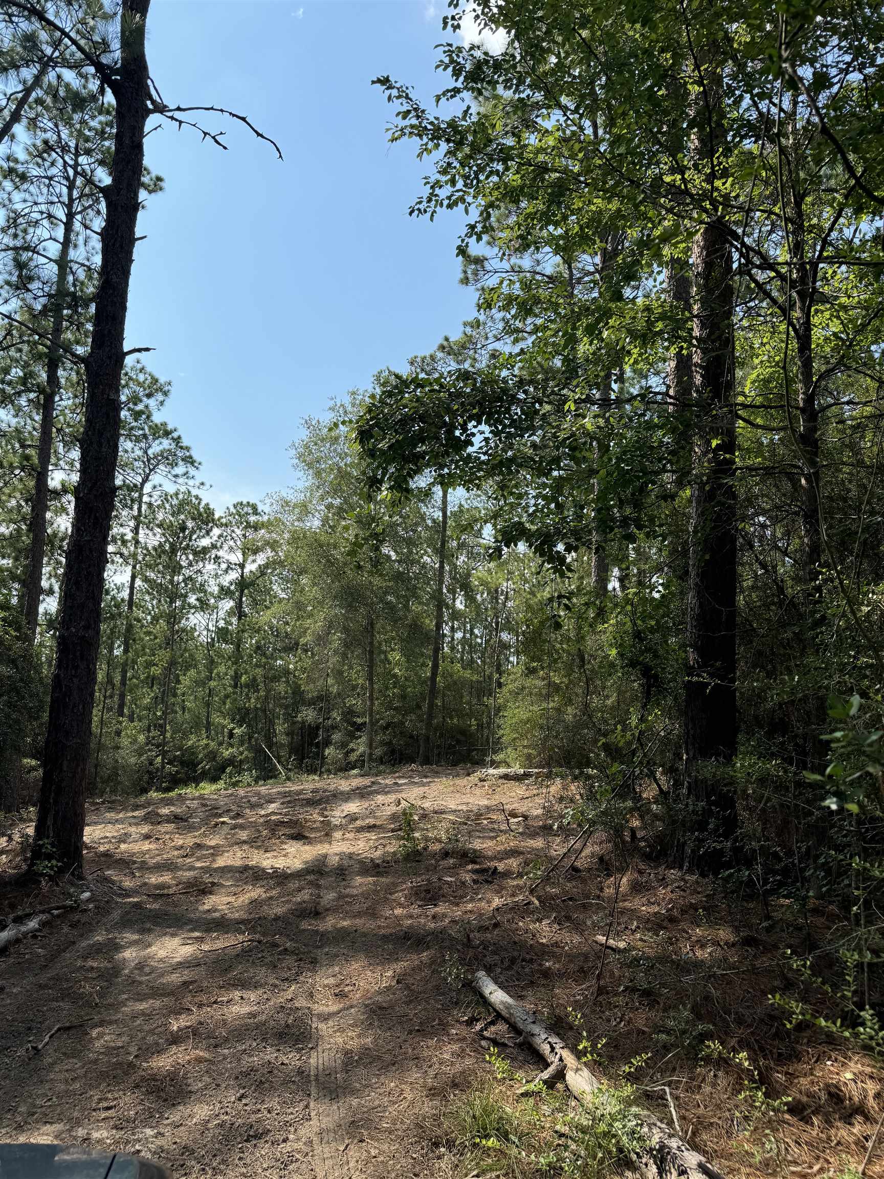 Slide for listing number 4211262