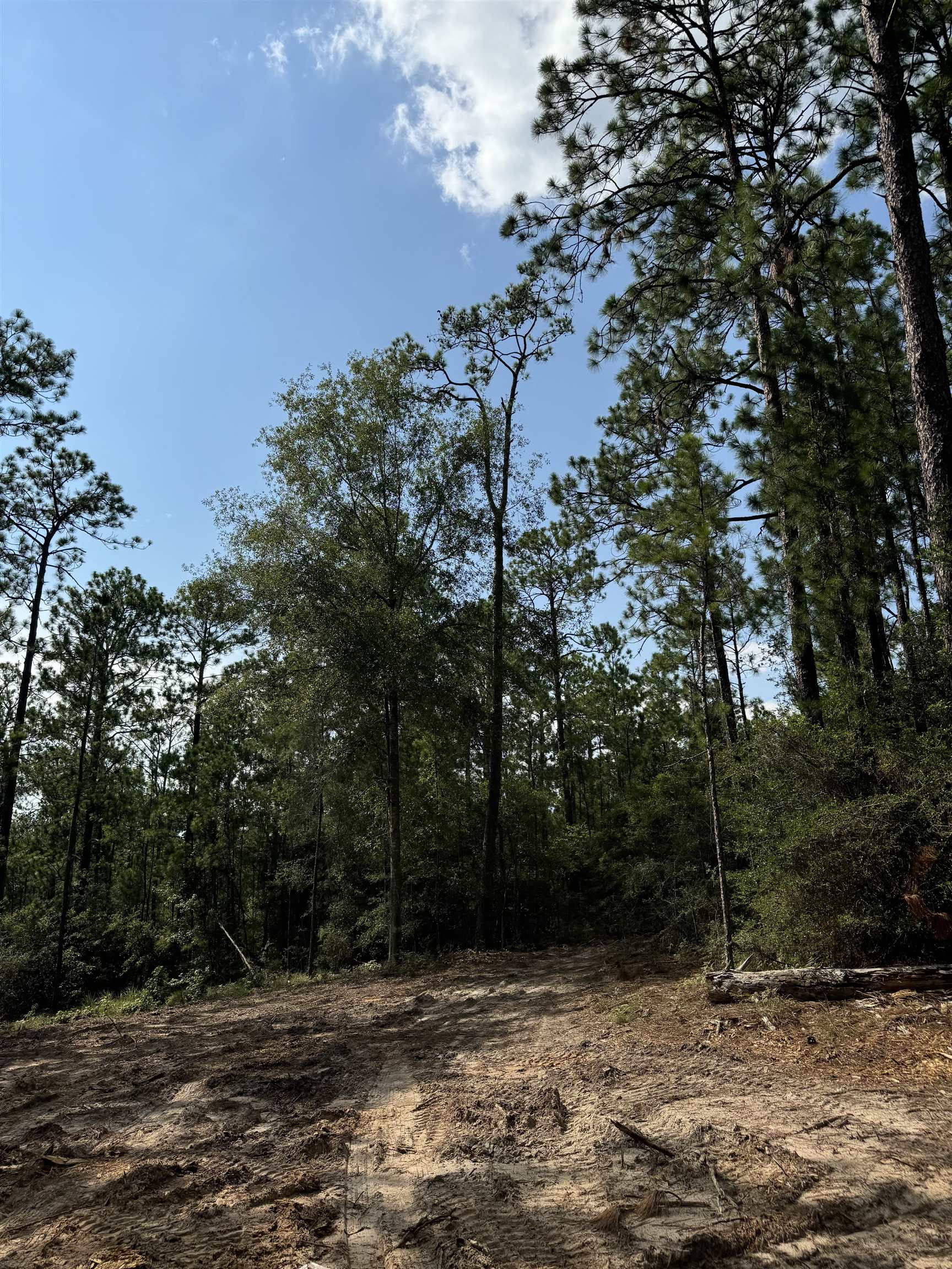 Slide for listing number 4211262