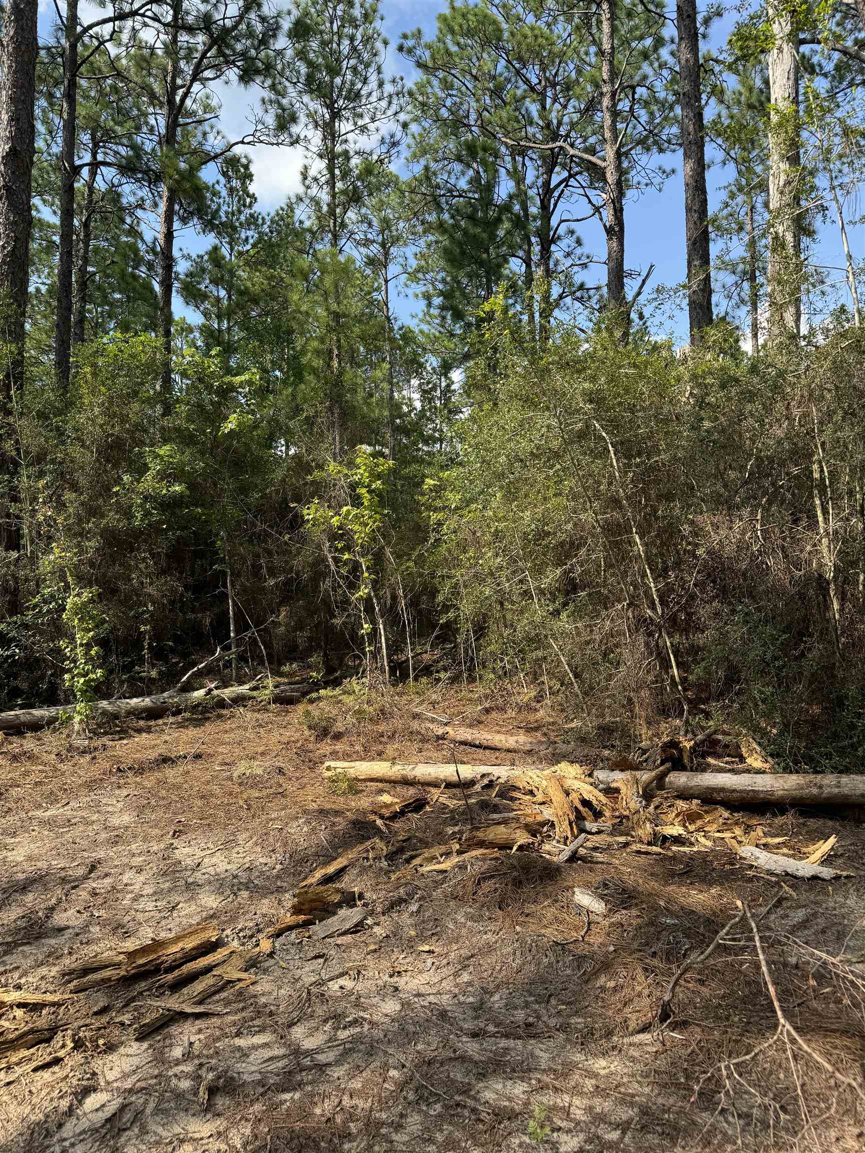 Slide for listing number 4211262