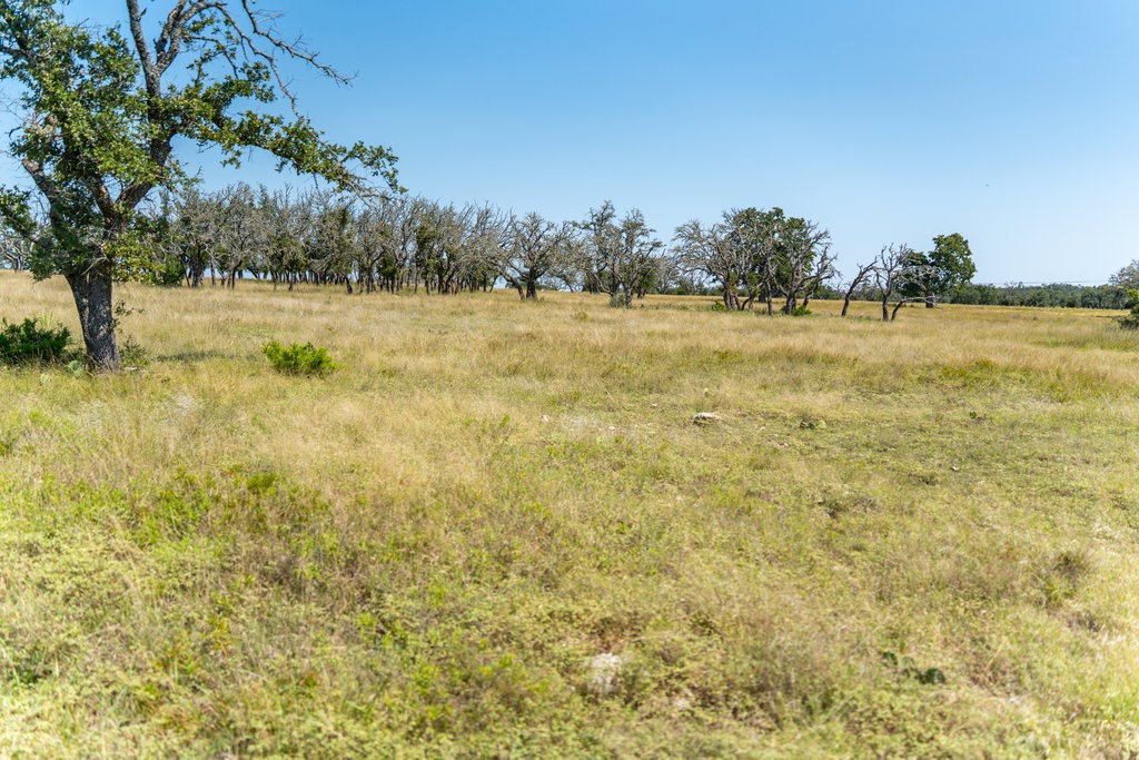 Lot 100 Packsaddle Dr photo 11