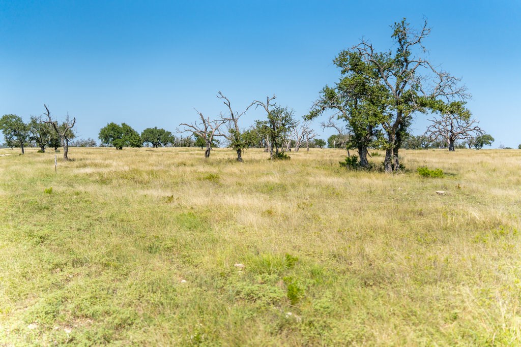 Lot 100 Packsaddle Dr photo 12
