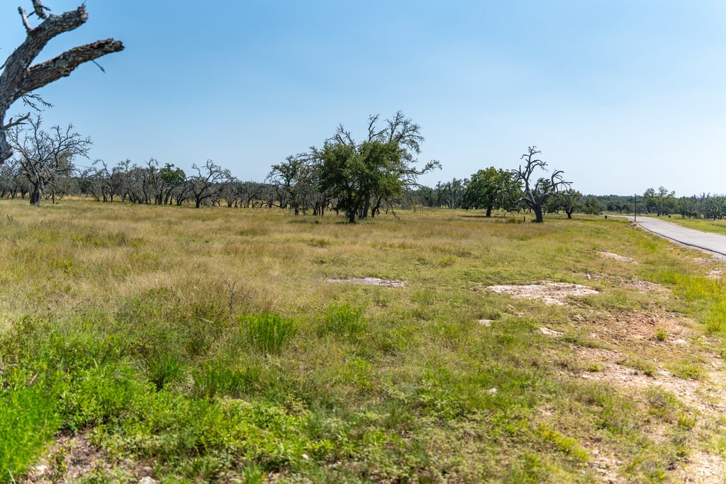 Lot 100 Packsaddle Dr photo 13