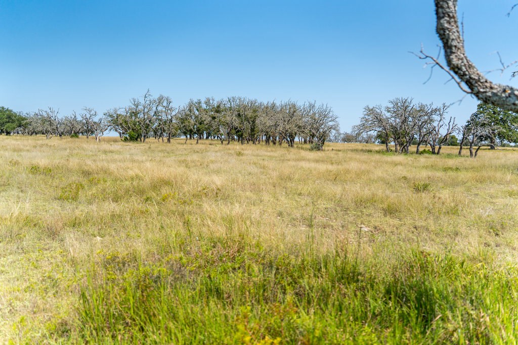 Lot 100 Packsaddle Dr photo 14