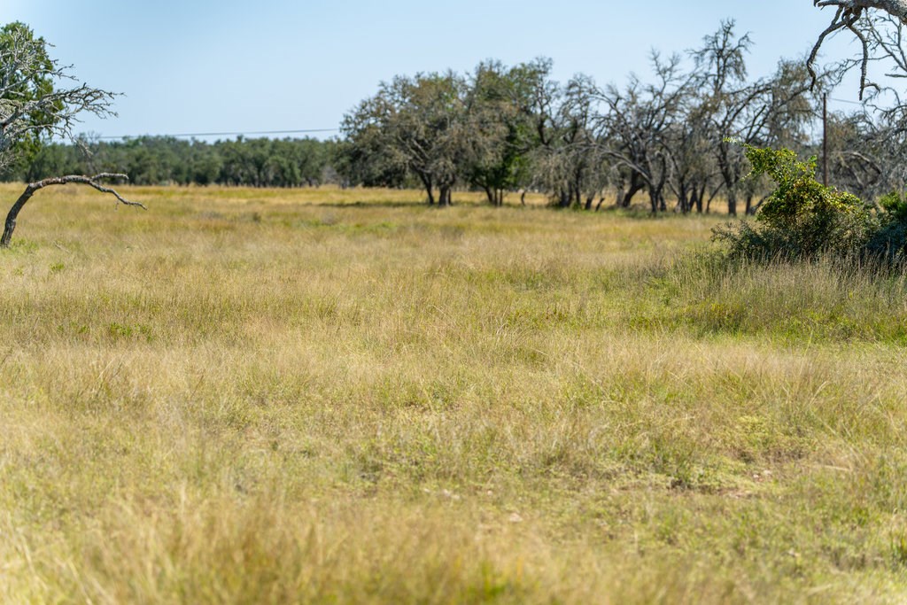 Lot 100 Packsaddle Dr photo 15