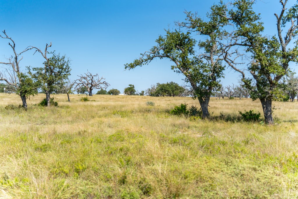Lot 100 Packsaddle Dr photo 16
