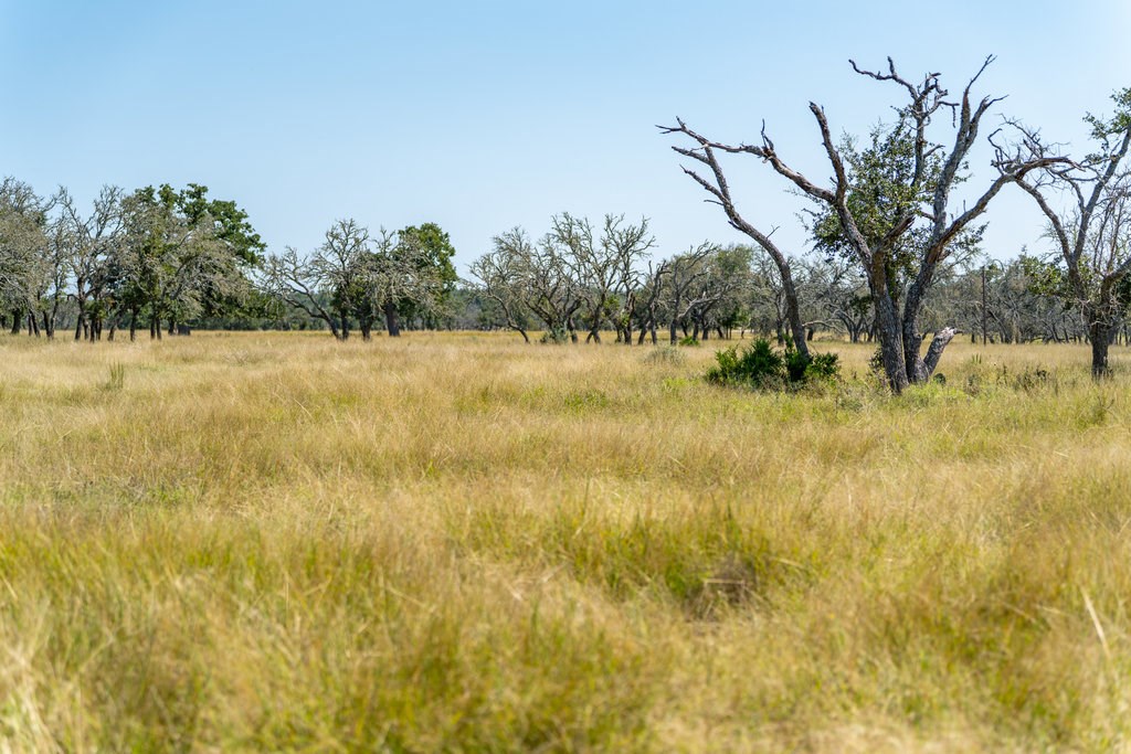 Lot 100 Packsaddle Dr photo 17
