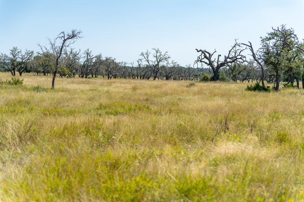 Lot 100 Packsaddle Dr photo 18