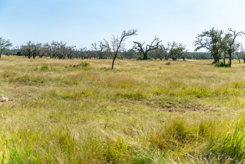 Lot 100 Packsaddle Dr photo 19