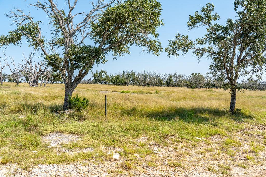 Lot 100 Packsaddle Dr photo 3