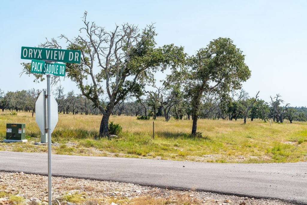 Lot 100 Packsaddle Dr photo 4