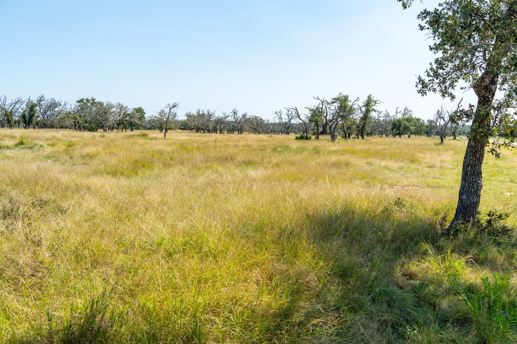Lot 100 Packsaddle Dr photo 5