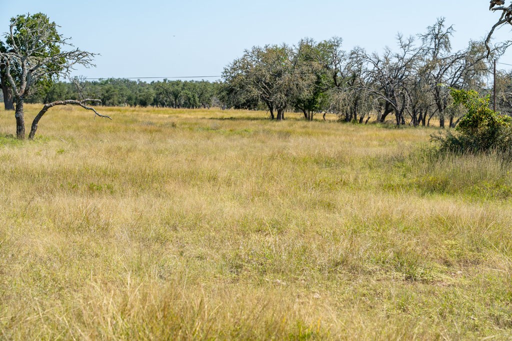 Lot 100 Packsaddle Dr photo 10