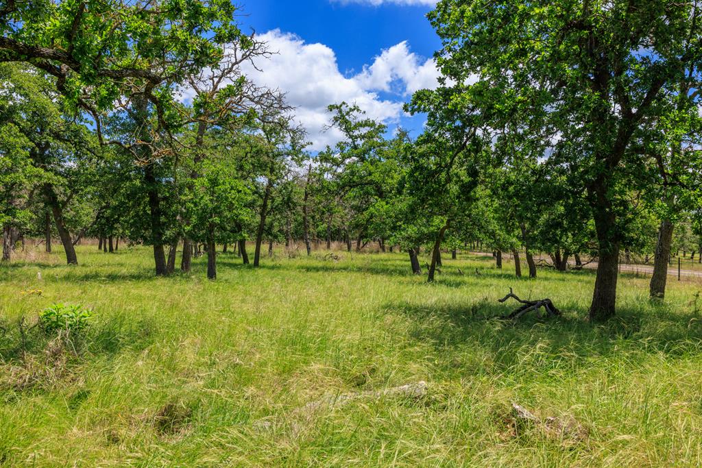 2100 Grape Creek Rd photo 1