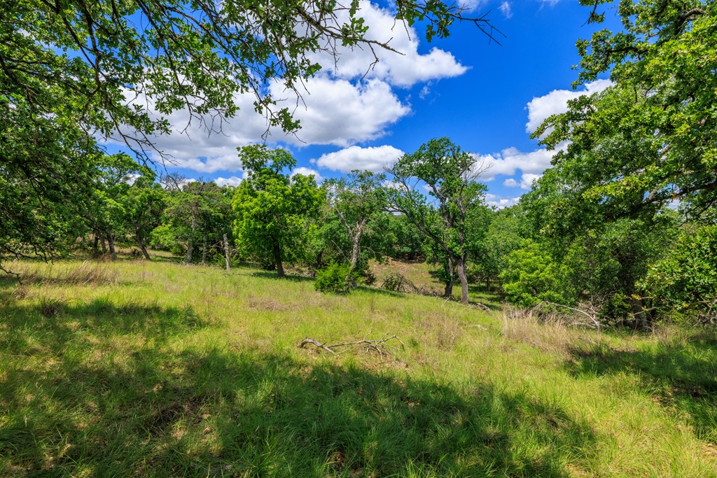2100 Grape Creek Rd photo 20