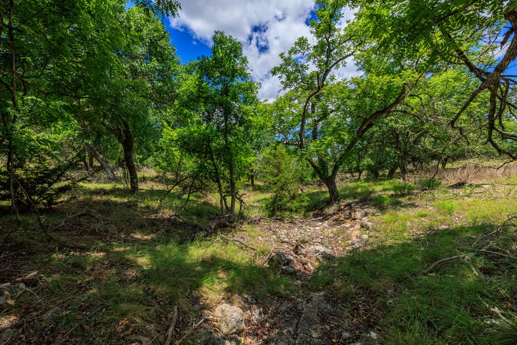 2100 Grape Creek Rd photo 21