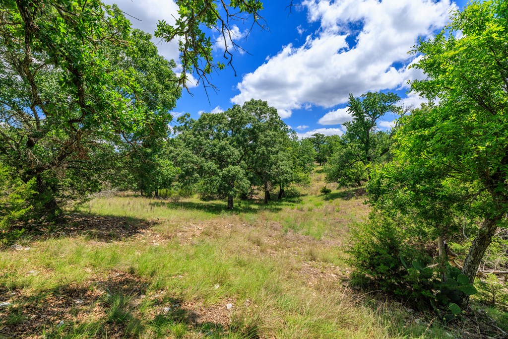 2100 Grape Creek Rd photo 22
