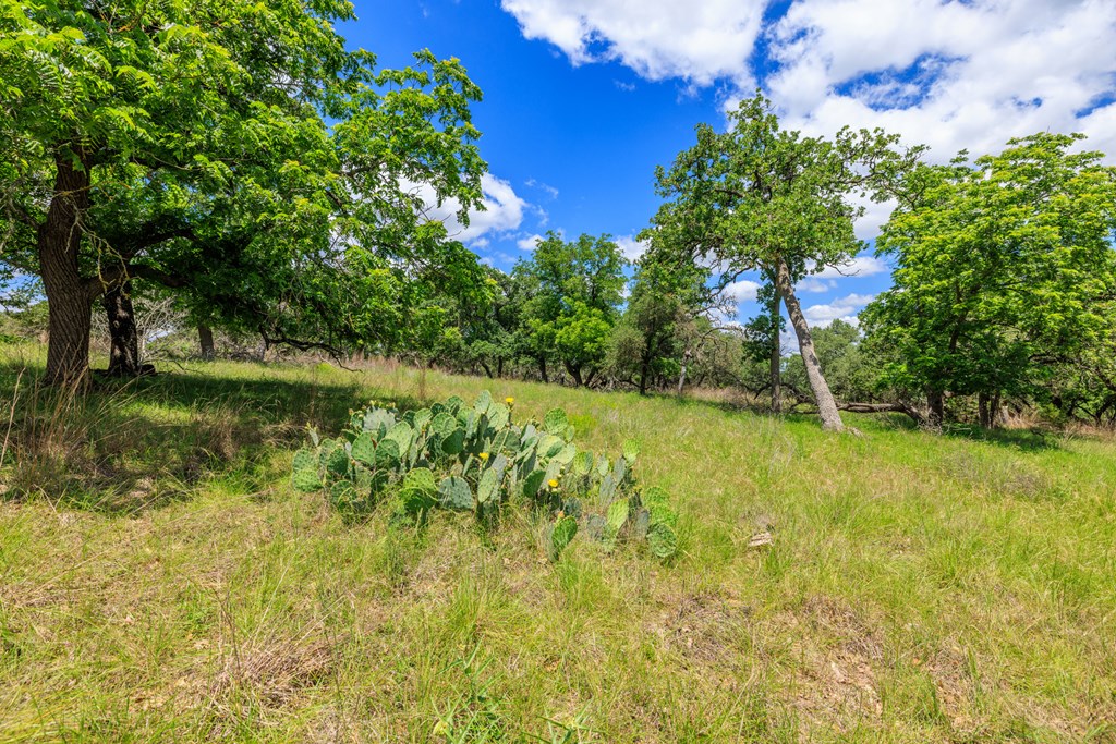 2100 Grape Creek Rd photo 23