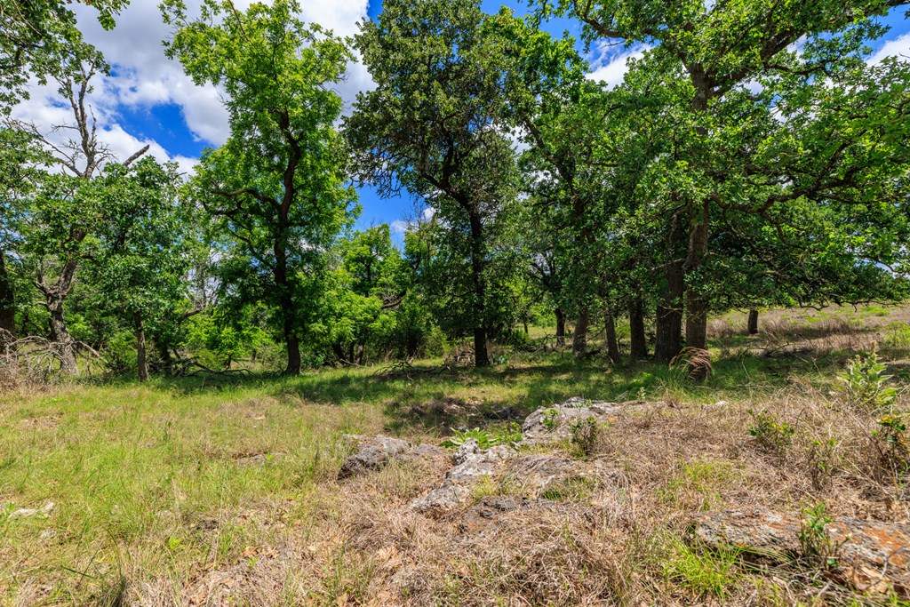2100 Grape Creek Rd photo 24