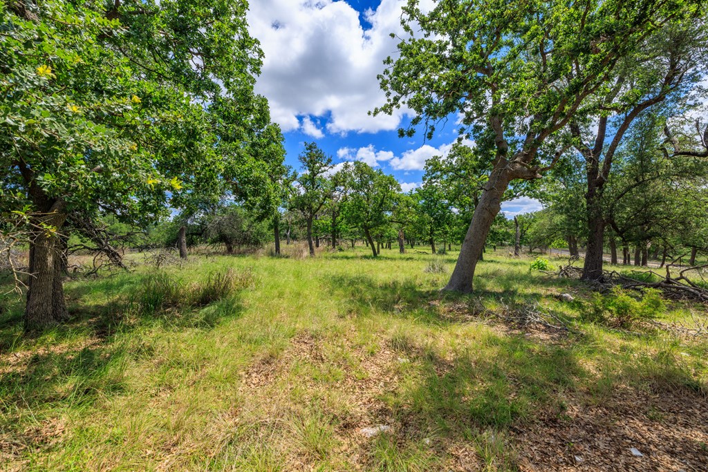 2100 Grape Creek Rd photo 10
