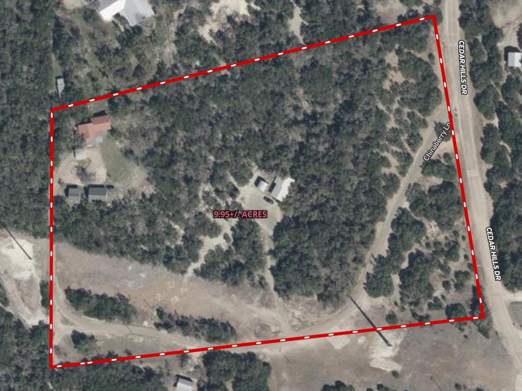 260 Chinaberry Lane photo 25