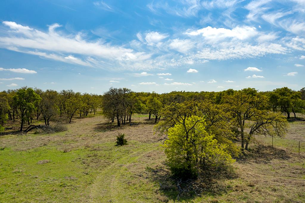 Sold by Savannah Sikes: 1340 Vintage Oaks Dr, Fredericksburg TX
