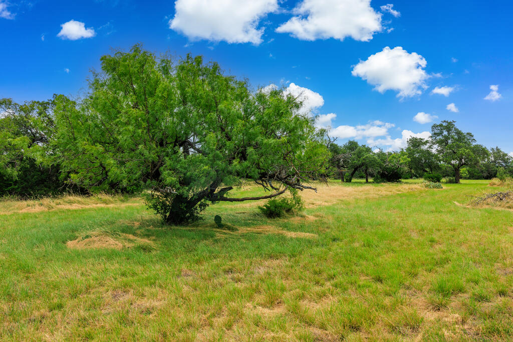4420 Ranch Rd 648 photo 4