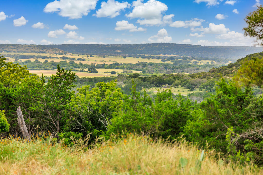 4420 Ranch Rd 648 photo 7
