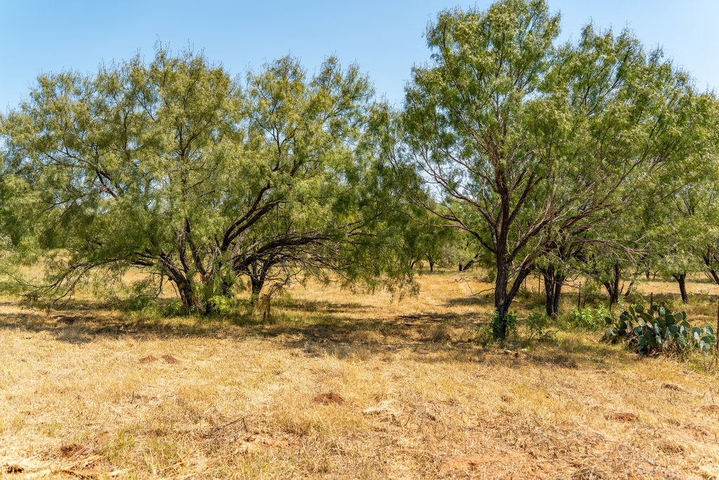 Lot 2 Mariposa Dr photo 12