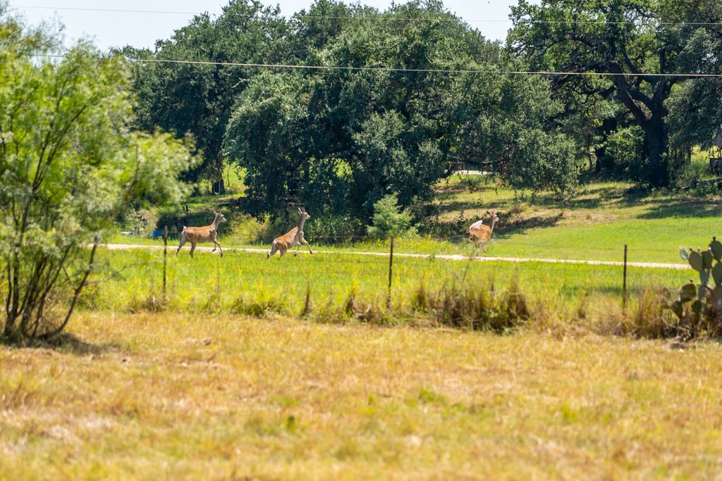 Lot 2 Mariposa Dr photo 16