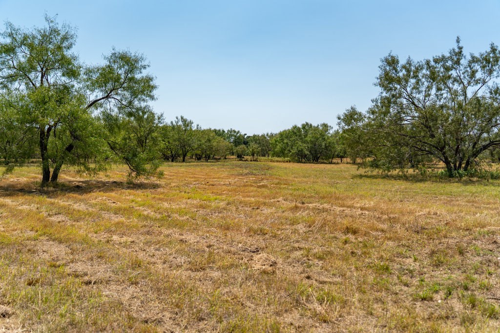Lot 2 Mariposa Dr photo 9
