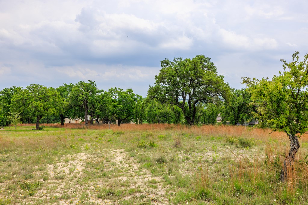 529 Hagee Drive photo 3