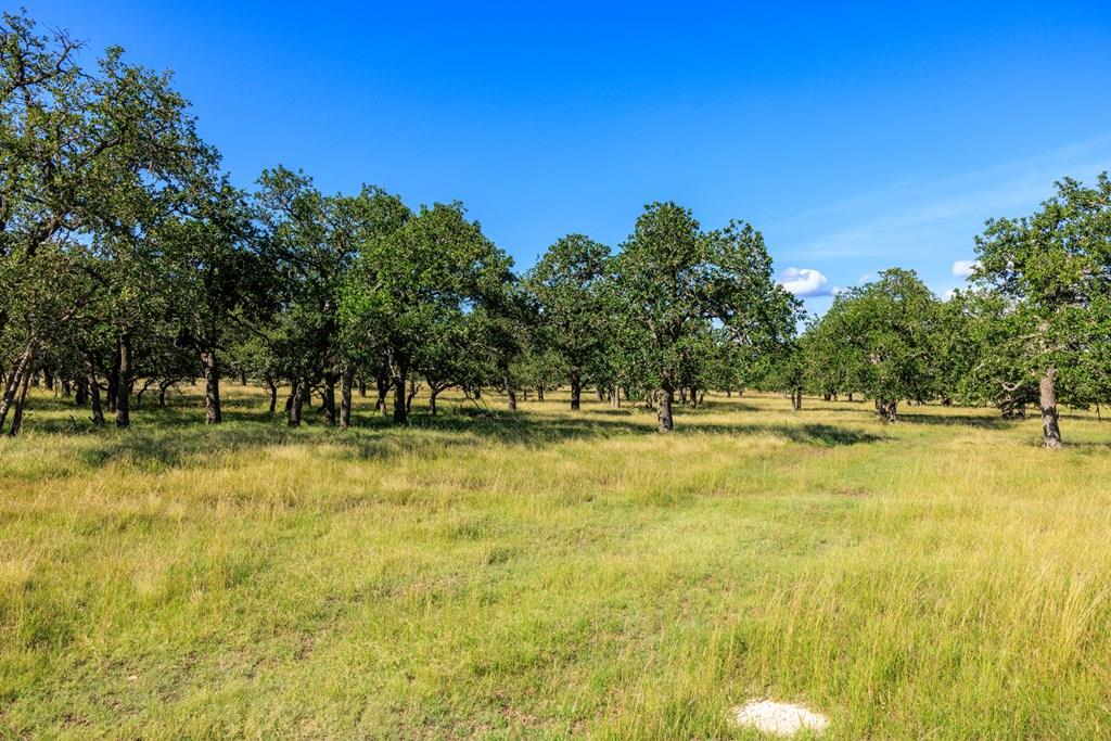 11470 N US Hwy 87 photo 1