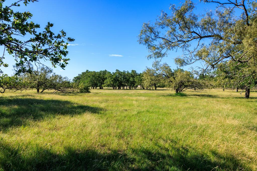 11470 N US Hwy 87 photo 7