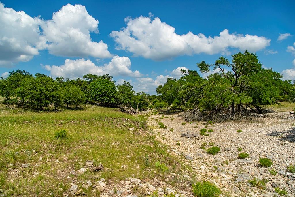 21690 FM 2093 photo 1