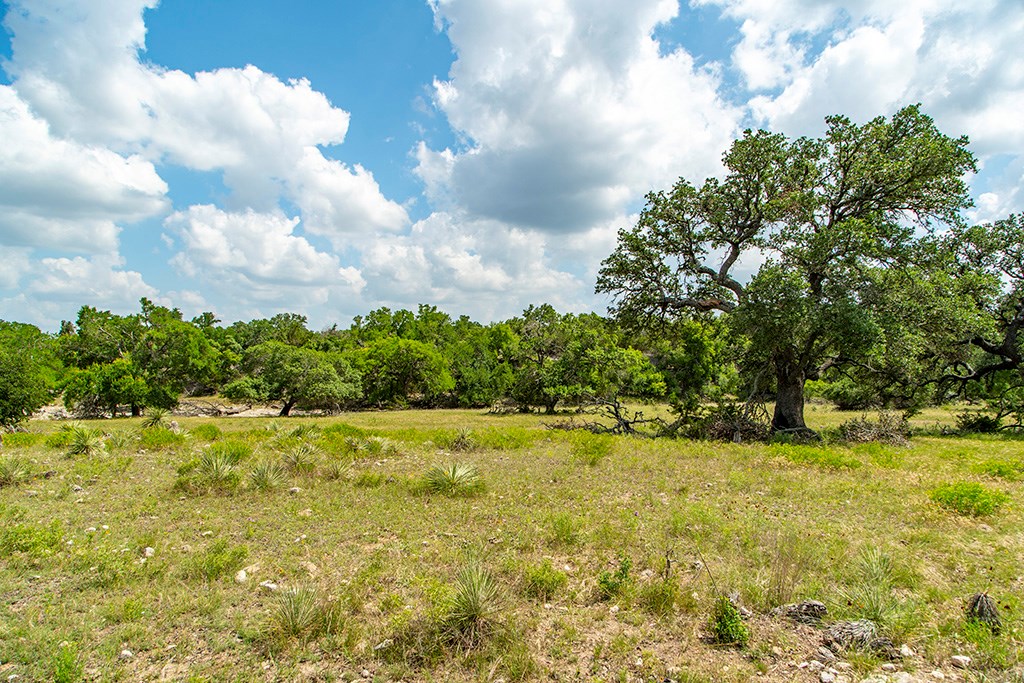 21690 FM 2093 photo 13
