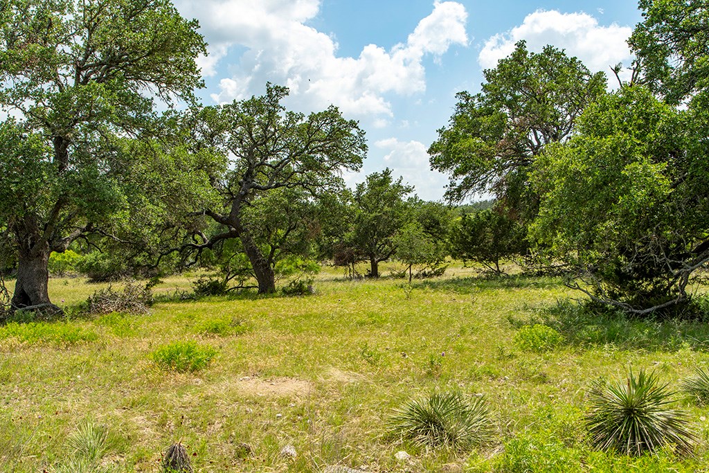 21690 FM 2093 photo 14