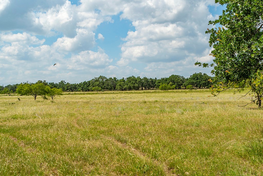 21690 FM 2093 photo 15
