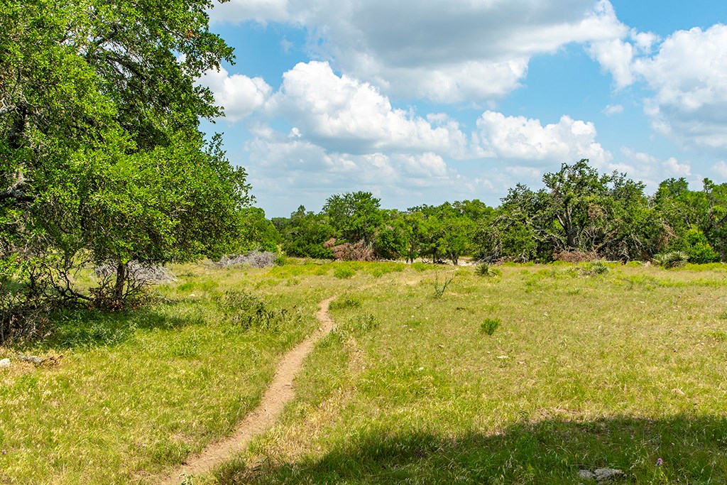 21690 FM 2093 photo 16