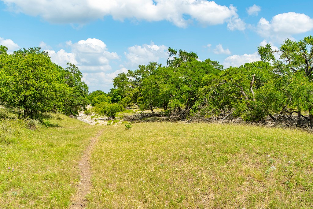 21690 FM 2093 photo 17