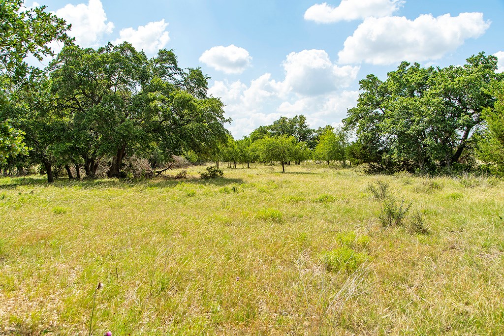 21690 FM 2093 photo 20