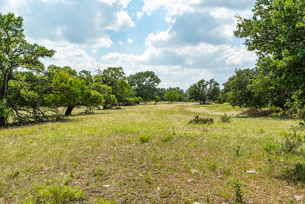 21690 FM 2093 photo 21