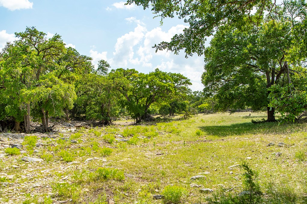 21690 FM 2093 photo 23