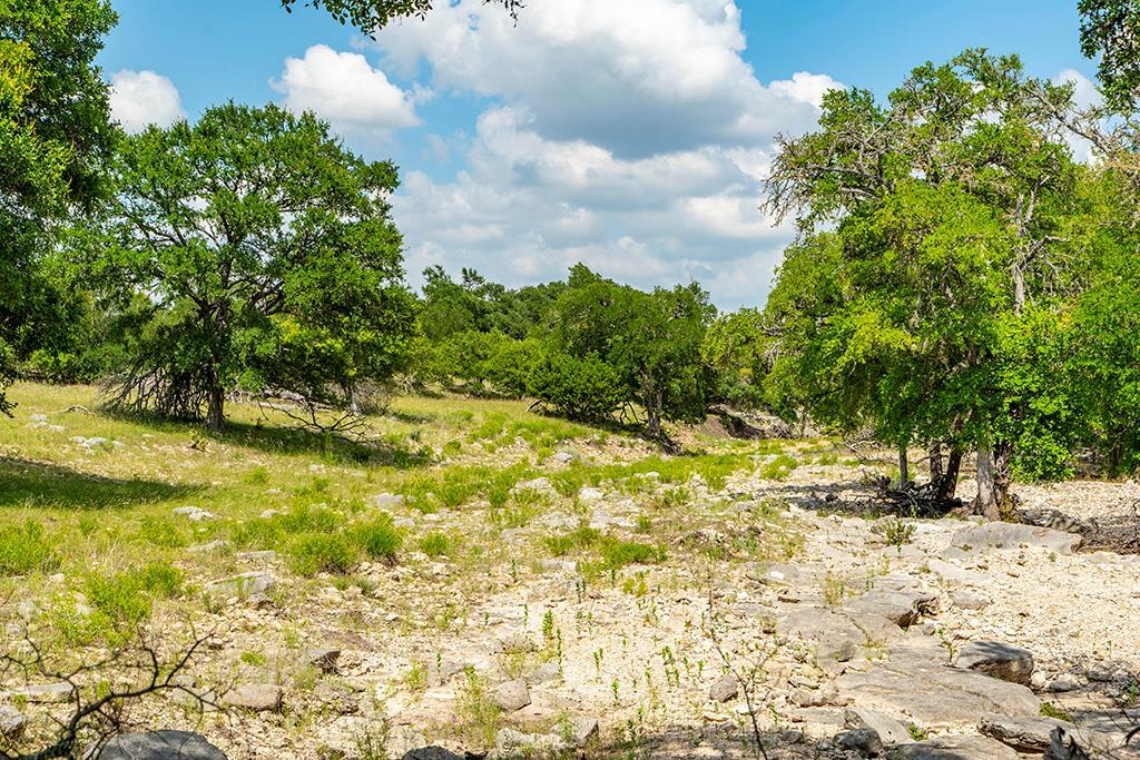 21690 FM 2093 photo 25